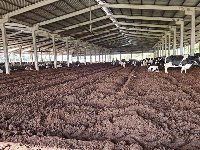 AS Projetos e Pré Moldados